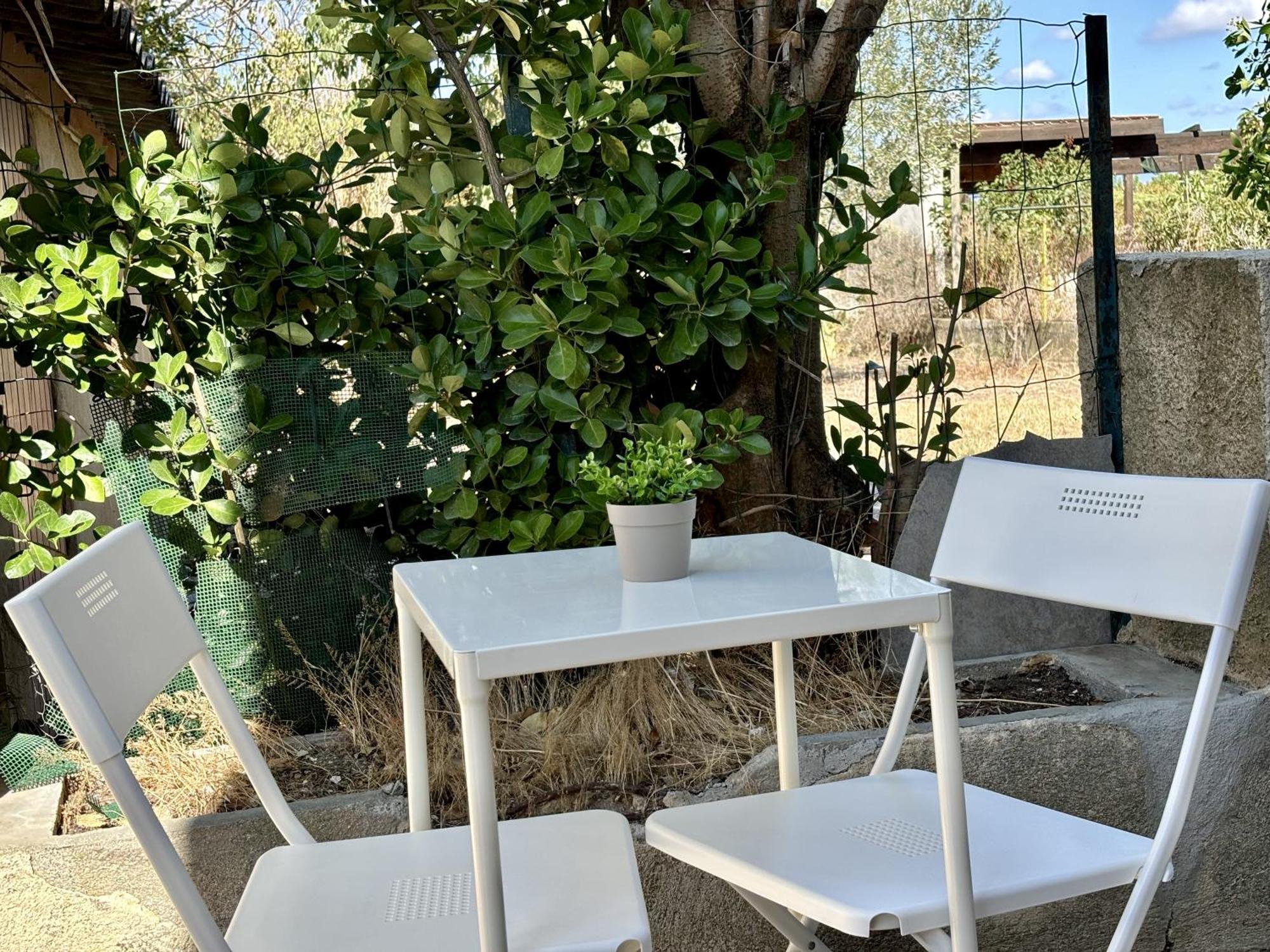 Apartament Douce Escale A La Cite Carcassonne Zewnętrze zdjęcie